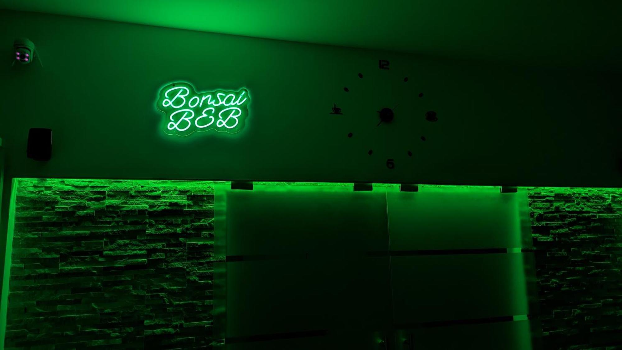 Bonsai Bed & Breakfast Fiumicino Zewnętrze zdjęcie